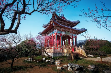 梅花山-春天-风景-建筑-亭子 图片素材