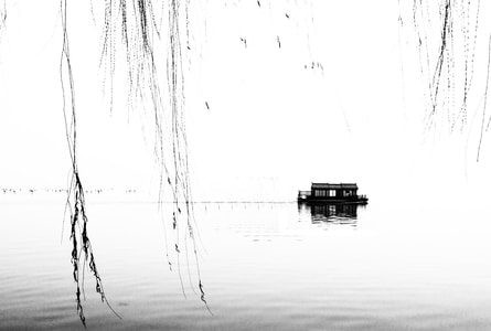 西湖-黑白-垂柳-小船-风景 图片素材