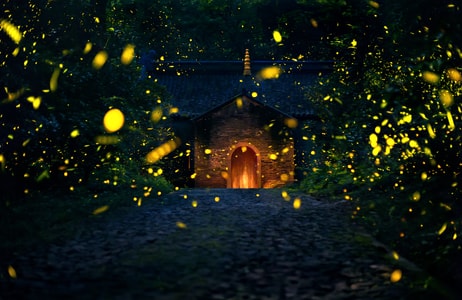 萤火虫-夜晚-玩偶-风景-萤火虫 图片素材