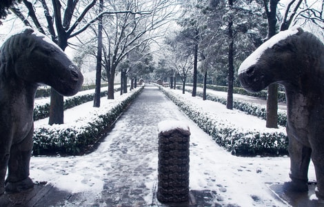 冬天-雪景-石像路-石马-风景 图片素材