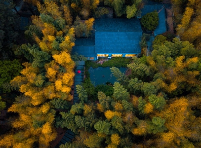 南京-乡村-航拍-小屋-房屋 图片素材