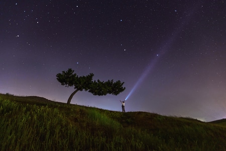 树-夜景-夜-星空-光束 图片素材