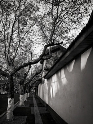 手机摄影-黑白-扫街-颐和路-民国建筑 图片素材
