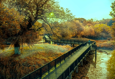 一镜知秋-秋天-建筑-色彩-光影 图片素材