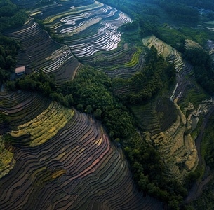 四峨山梯田-梯田-乐山市沙湾区-农田-风景 图片素材