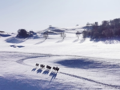 雪-年味-旅行-风景-风光 图片素材