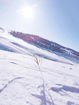 雪-年味-旅行-风景-自然 图片素材