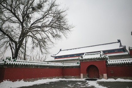 生活-纪实-人文-街拍-天坛 图片素材