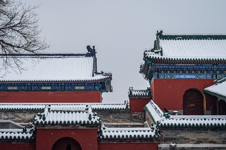 生活-纪实-人文-街拍-天坛 图片素材