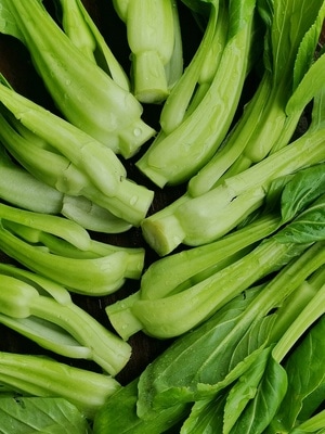 静物-摄影和文字-蔬菜-青菜-静物 图片素材