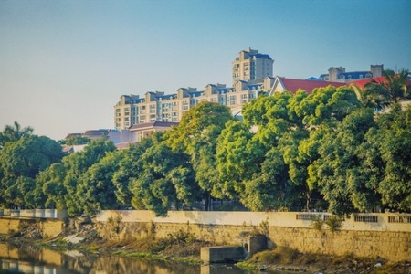 风景-街景-树-树木-河边 图片素材