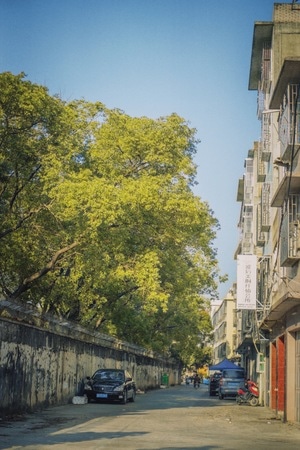 风景-街景-街道-巷子-围墙 图片素材