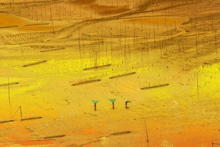 风光-旅行-沙漠-画-滩涂 图片素材