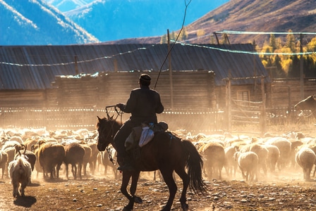 我的2019-现场抓拍-人文纪实-人与自然-旅拍 图片素材