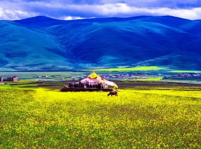 中画幅胶片-风光-人与自然-你好秋天-风景 图片素材