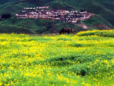 中画幅胶片-人与自然-你好秋天-风光-风景 图片素材