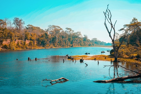 旅游-风景-大自然-吴哥窟-护城河 图片素材