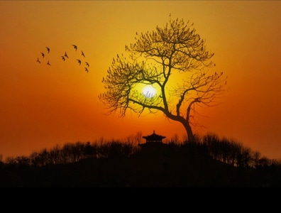 去拍摄团每周精选-生活-原创-旅行-手机摄影 图片素材