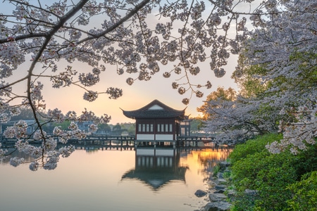 原创-风光-色彩-西湖-樱花季 图片素材