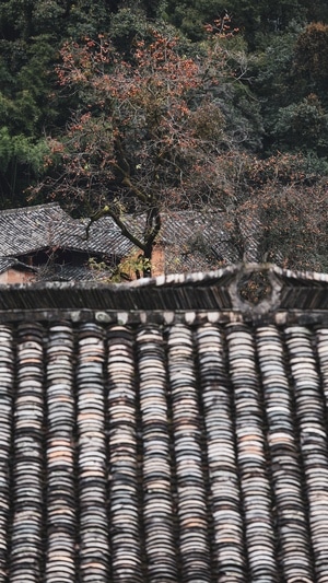 美景-自然-风光-旅行-建筑 图片素材