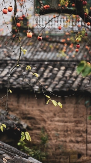 美景-自然-风光-旅行-建筑 图片素材