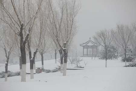 随拍-下雪-雪景-雪-雪地 图片素材