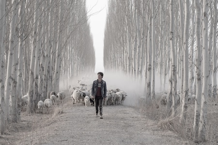 生活-人文-新疆-迷雾-风景 图片素材