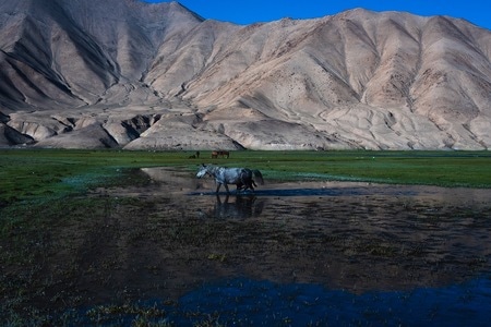 旅行-地理-人文-公园长椅-风光 图片素材
