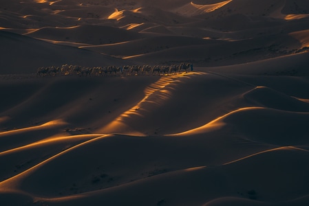 沙漠-西北-巴丹吉林沙漠-驼队-沙漠 图片素材