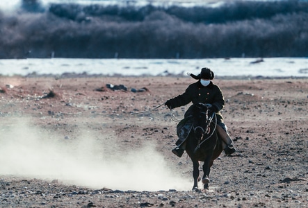 西北以北-我的2019-一诺影视-旅行-牧马人 图片素材