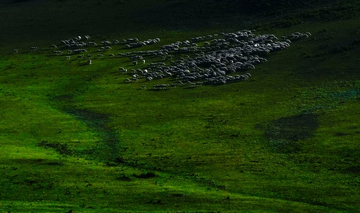 河西走廊-旅行-草原-草地-风光 图片素材