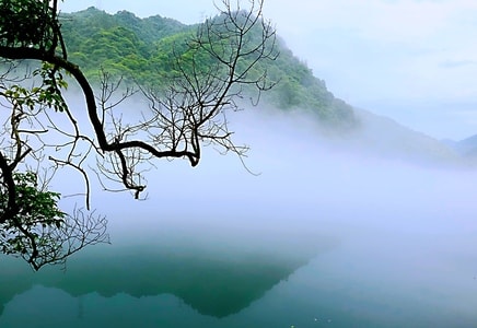 街景-随手拍-记录-雾-东江 图片素材