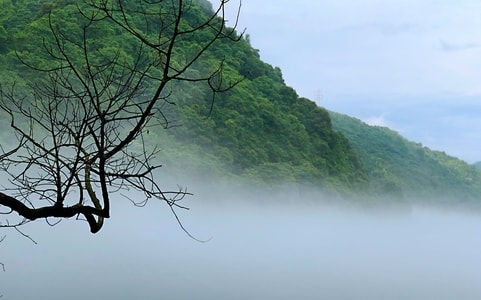 街景-随手拍-记录-雾-东江 图片素材