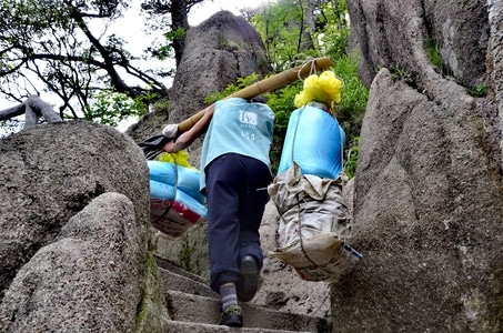 黄山-挑夫-松树-男人-男性 图片素材