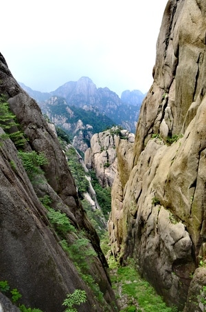 黄山-挑夫-松树-风景-山 图片素材