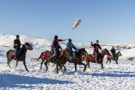 雪地-新疆-雪-寒冷-冬季 图片素材