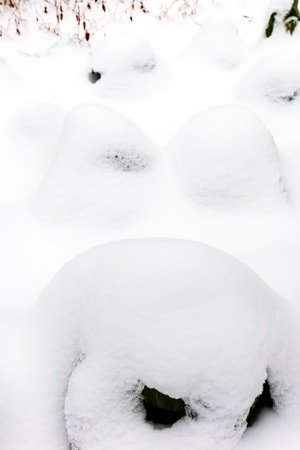 菜刀摄影-冰雪-户外-菜地-雪地 图片素材