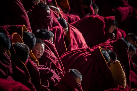 冬日暖阳-藏区-小孩-宗教-儿童 图片素材