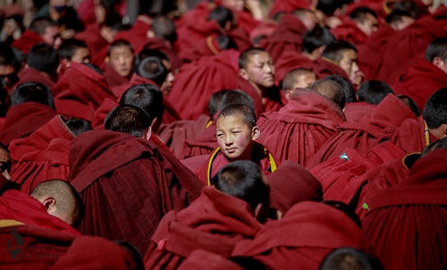 冬日暖阳-藏区-僧侣-男孩-男性 图片素材