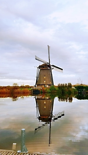 风车-鹿特丹-浪漫-旅行-旅拍 图片素材