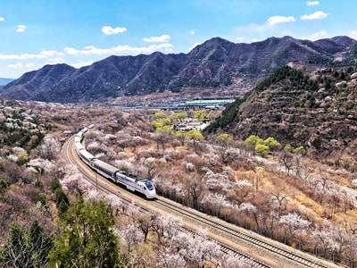 花海列车-居庸关-北京-开往春天的列车-花海列车 图片素材