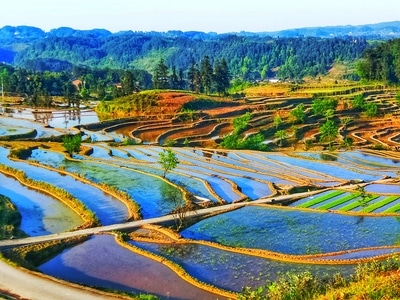 重庆市-蓝色-你好2020-流光溢彩-阳光 图片素材