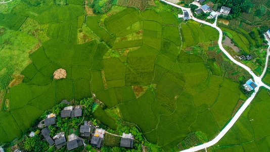 阳光-你好2020-重庆市-流光溢彩-田野 图片素材