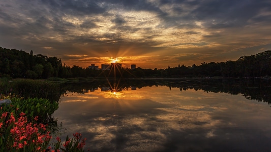 成都-浣花溪公园-光影-日出-风景 图片素材