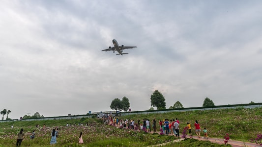 70周年摄影大赛-70周年城市-风光-风景片-成都双流空港花田 图片素材