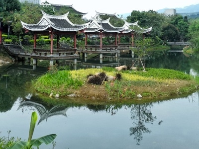 园林景观-湿地公园-亭台楼阁-美如仙境-我要上封面 图片素材