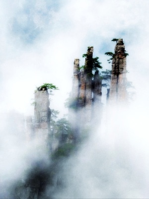 抓拍-色彩-自然-风光-影 图片素材