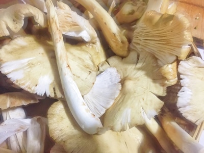 纪实-云南大理-生活方式-诗意生活-农村 图片素材