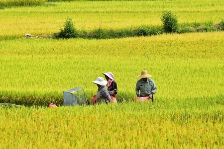 诗意生活-尼康相机-风光摄影-旅游目的地-纪实 图片素材