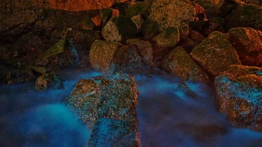 夜景-光影-蓝眼泪-石头-岩石 图片素材